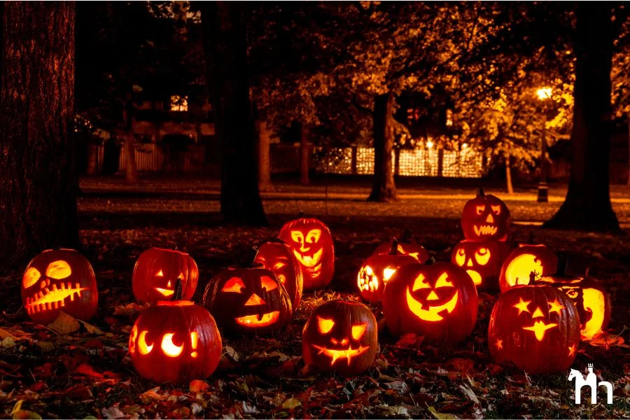 Geschnitzte Halloween K&uuml;rbisse im Dunkeln auf einer Wiese. Im Hintergrund Umrisse von B&auml;umen.