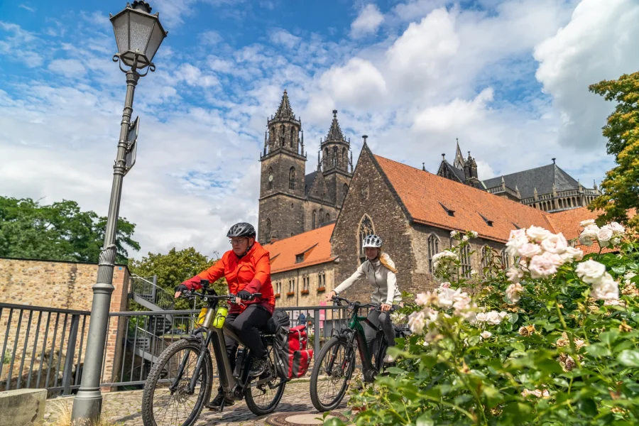 Zwei Radfahrende mit Helmen rollen ueber Kopfsteinpflaster am Fuss des Magdeburger Doms vorbei, rechts ein Busch weisser Rosen, links eine historische Laterne