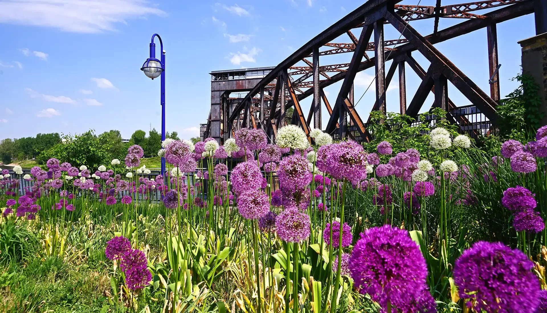 Fr&uuml;hling entlang der Elbe
