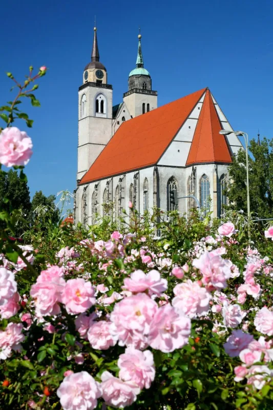 Johanniskirche mit rotem Satteldach und ihren beiden ungleichen T&uuml;rmen, im Vordergrund ein bl&uuml;hendes rosa Rosenbeet