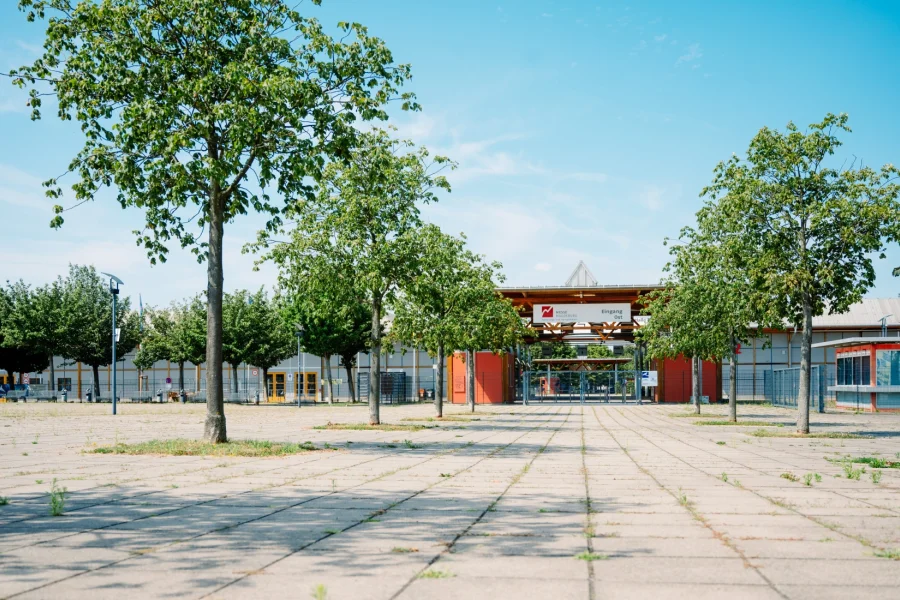 Baumbestandener Vorplatz der Messe Magdeburg an einem Sommertag, im Hintergrund das Holzdach &uuml;ber dem Eingang Ost mit Messelogo
