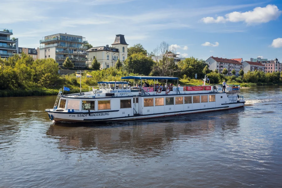Ansicht Wei&szlig;e Flotte auf der Elbe mit Stadth&auml;usern im Hintergrund